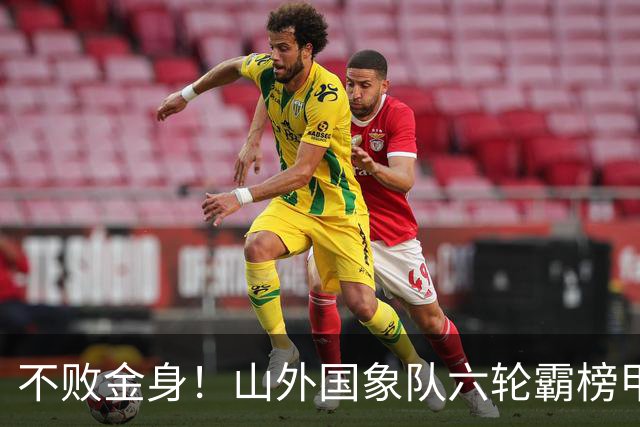 不败金身！山外国象队六轮霸榜甲级联赛